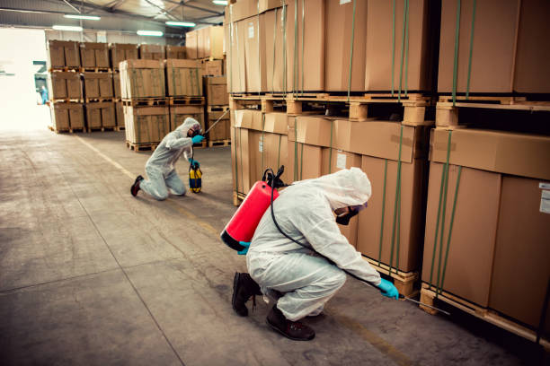 Best Affordable Pest Control Services  in Burnham, IL