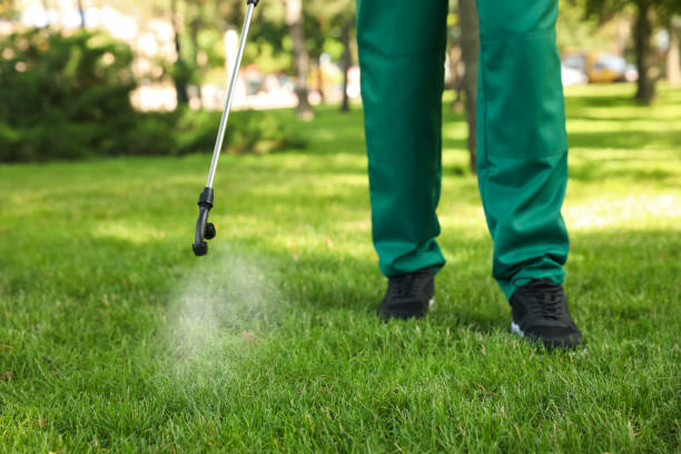 Best Residential Pest Control  in Burnham, IL