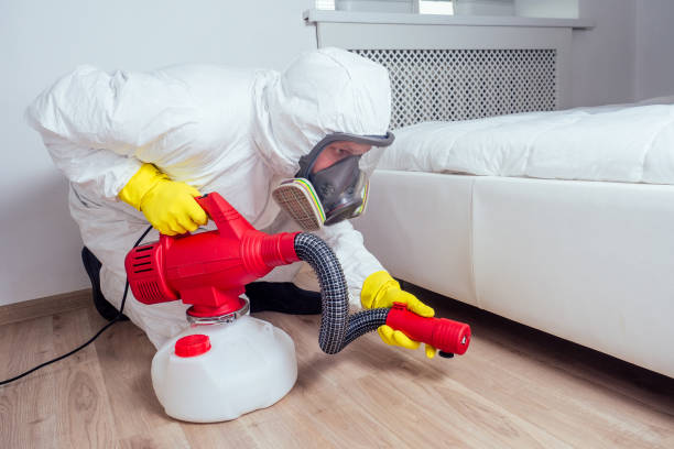 Best Pest Removal Services  in Burnham, IL