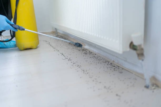 Best Pest Prevention Services  in Burnham, IL