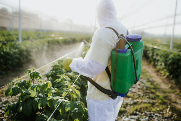 Best Mosquito Control Services  in Burnham, IL